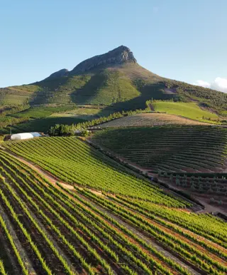 Geh auf Sightseeingtour in der Weinstadt Stellenbosch